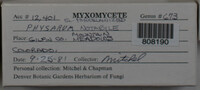 Image Associated With the Occurence